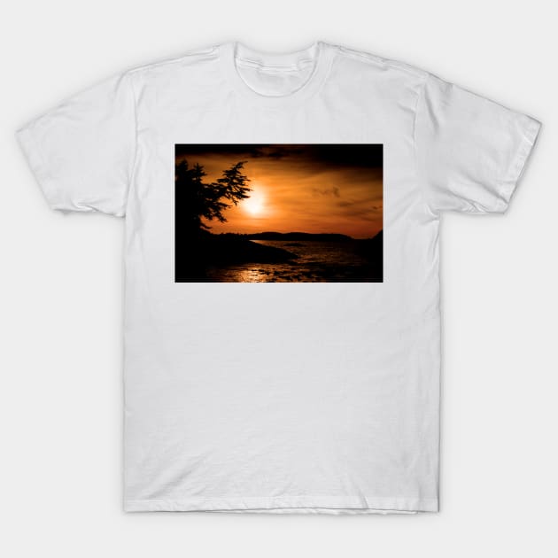 Sunset Long Beach Tofino Vancouver Island Canada T-Shirt by AndyEvansPhotos